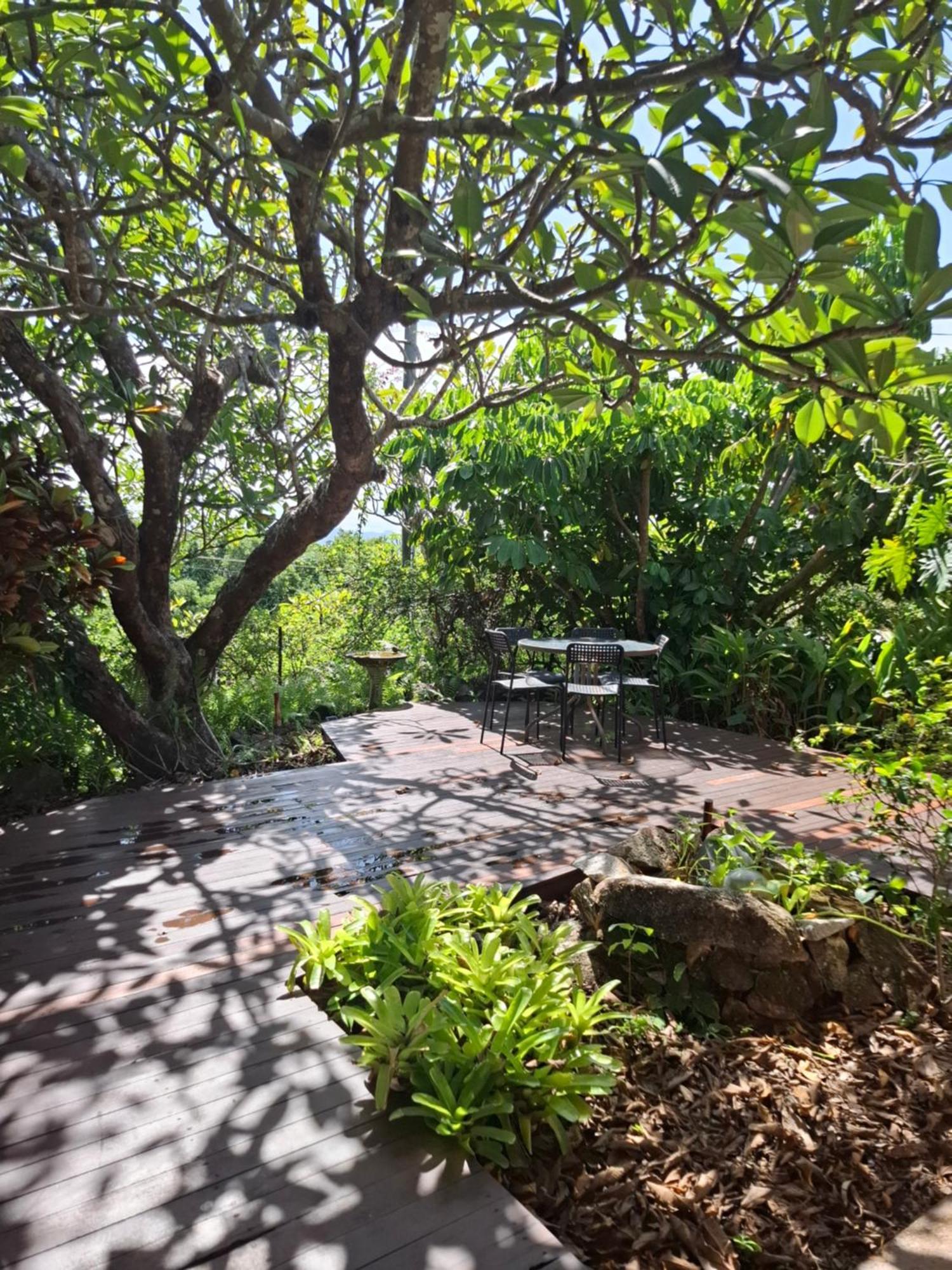 J & Ella'S Holiday House - 2 Bedroom, 2 Bathroom Home Cooktown Exterior foto